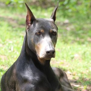 Meet your Posher, Stacey